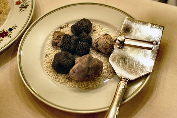 Conservazione, gestione e costi del tartufo: il lato pratico