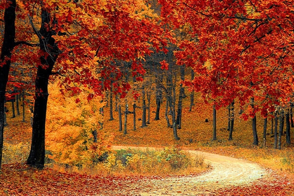 Autunno-Inverno 2025: rinnova la tua offerta ristorativa