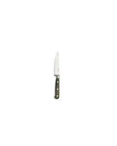 Comas Coltello Bistecca Pakka Verde - Confezione 6 pezzi