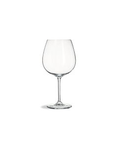 SCHOTT ZWIESEL Ivento Calice Barolo Cl 78