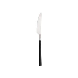 PINTINOX Hive Coltello Frutta in Acciaio Inox 18/10 - Confezione da 12 pezzi