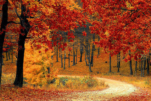 Autunno-Inverno 2025: rinnova la tua offerta ristorativa